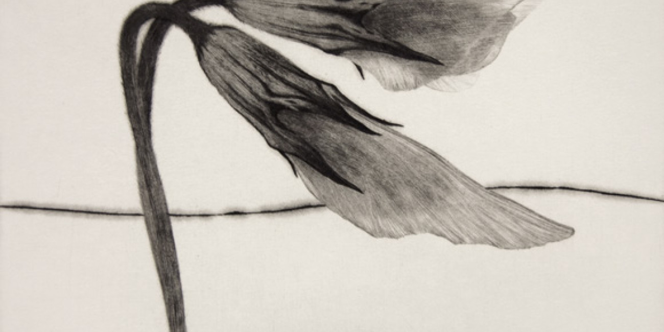 Exposi&ccedil;&atilde;o Naoji Ishiyama