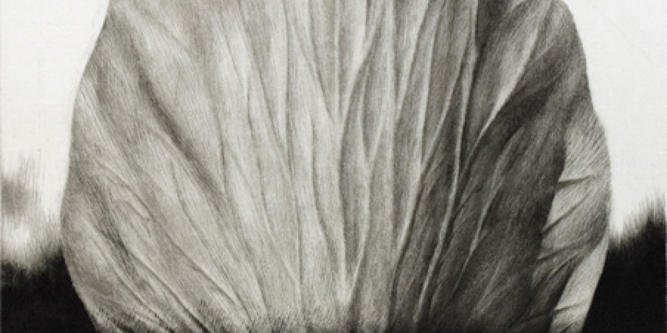 Exposi&ccedil;&atilde;o Naoji Ishiyama