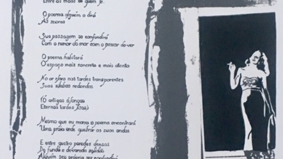 palmira pires imagem1 &middot; 2020