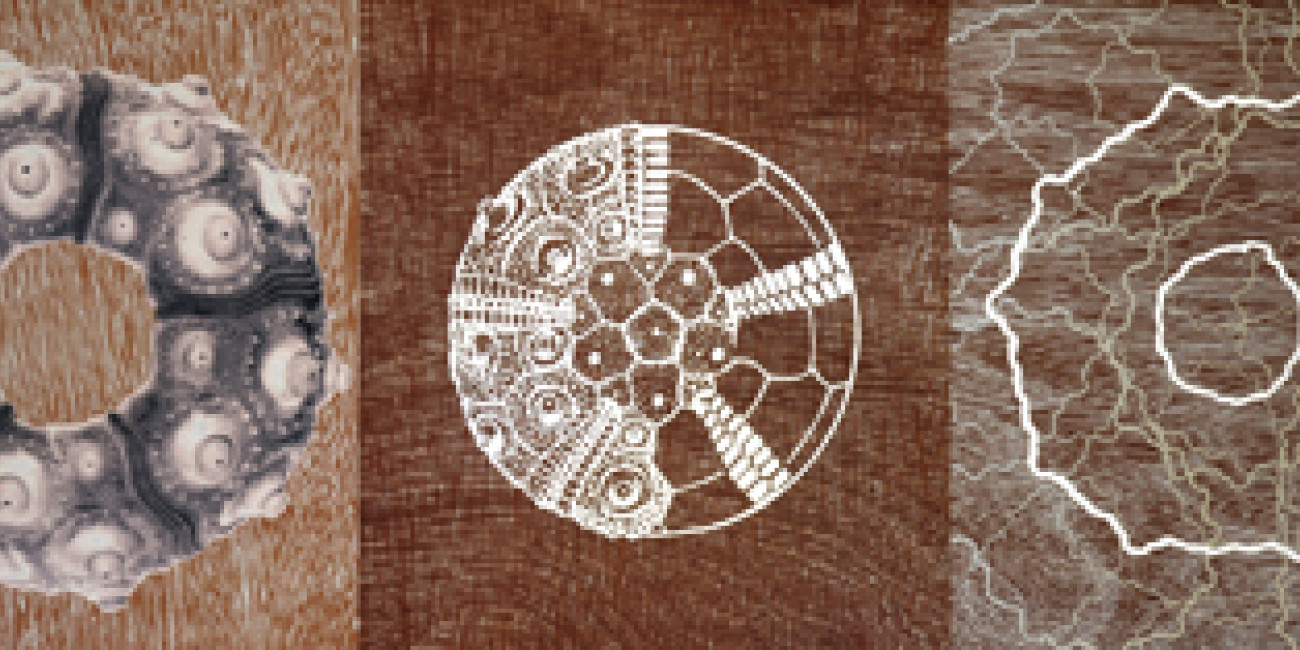 "Phyllacantus Imperialis III", Exposi&ccedil;&atilde;o Paulo Louren&ccedil;o