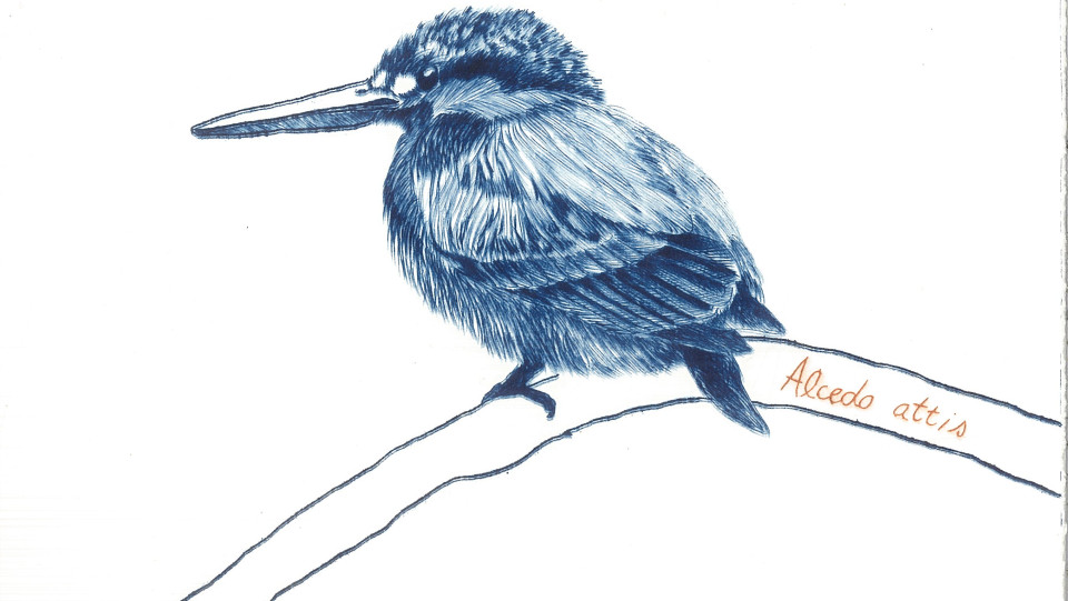 Birdwatching I &middot; 2022