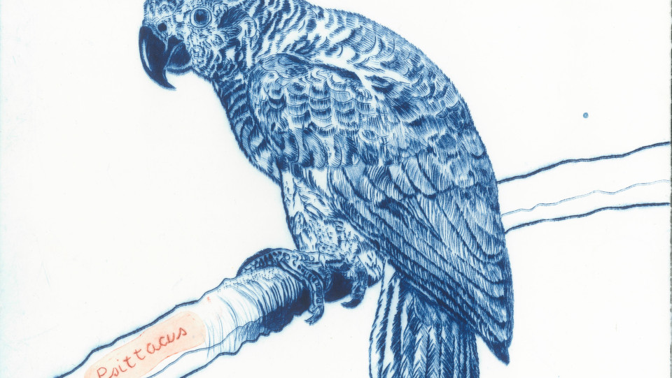 Birdwatching III &middot; 2023