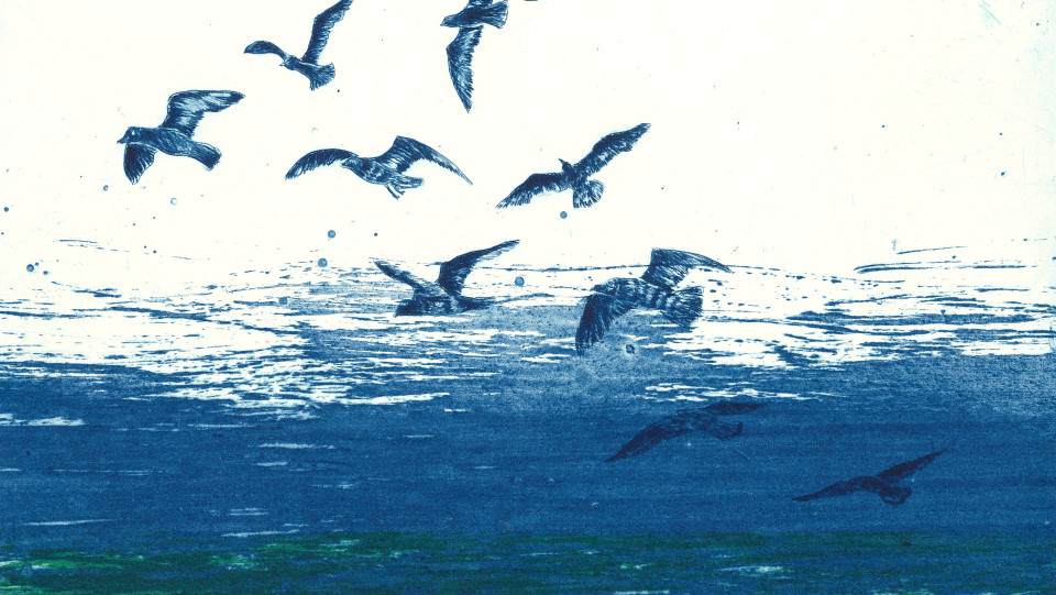 flight II &middot; 2025