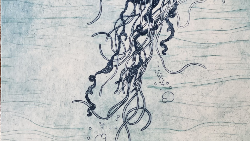 sea-world I &middot; 2020