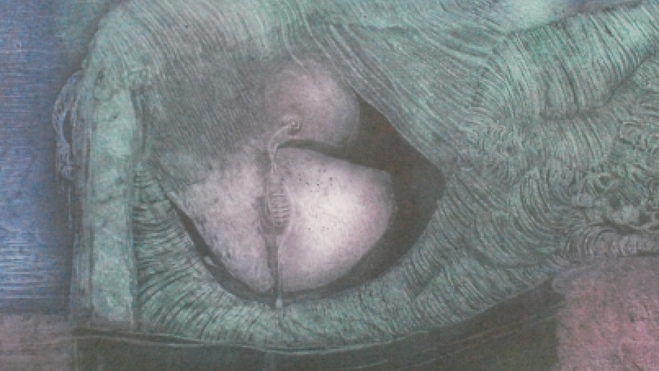 P&aacute;ssaro em Fogo &middot; água-forte, água tinta e verniz mole &middot; 49,5x38,0cm