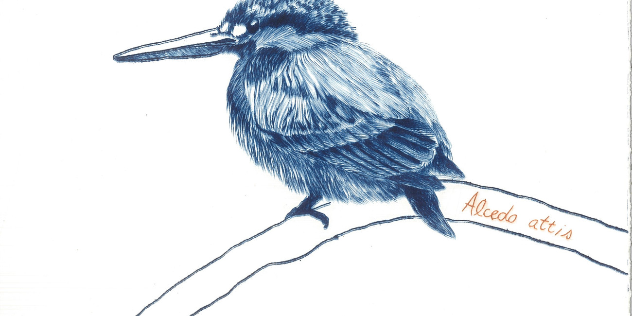 Ponta Seca sobre PVC E TETRAPAK