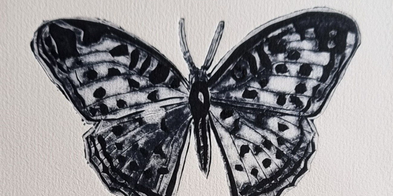 Ponta Seca sobre PVC E TETRAPAK