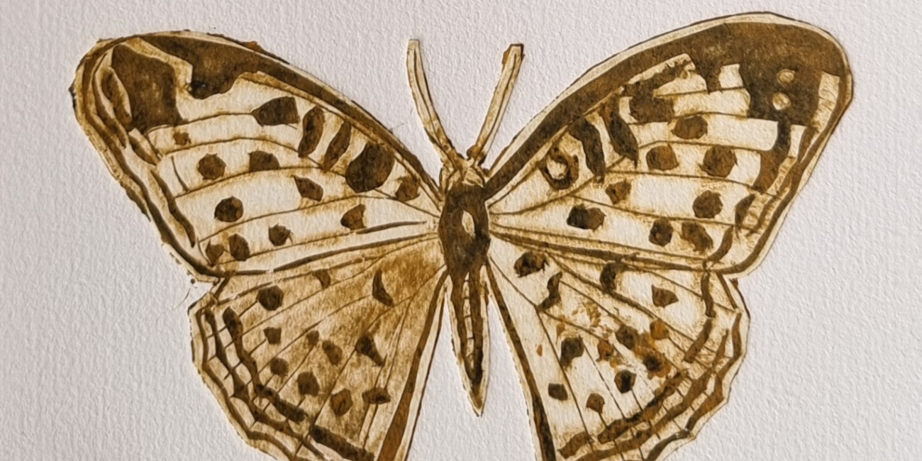 Ponta Seca sobre PVC E TETRAPAK