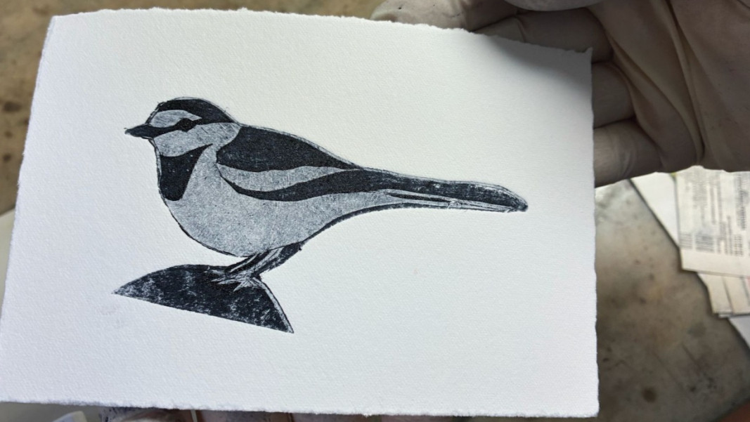 Ponta Seca sobre PVC E TETRAPAK